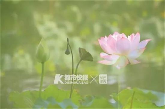快拍小友“古色月影” 摄