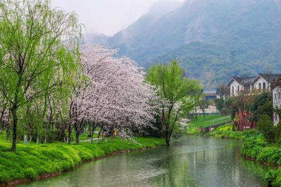 绍兴宛委山又到一年赏樱时节