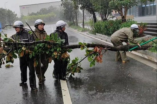 市综合行政执法局