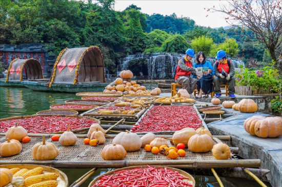 10月22日,国网泰顺县供电公司员工在泰顺县南浦溪晒秋现场向农户介绍安全用电知识(梅传双/摄)