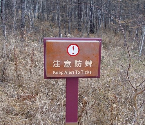 夏天的隐形杀手 带孩子出游的家长一定要小心它们