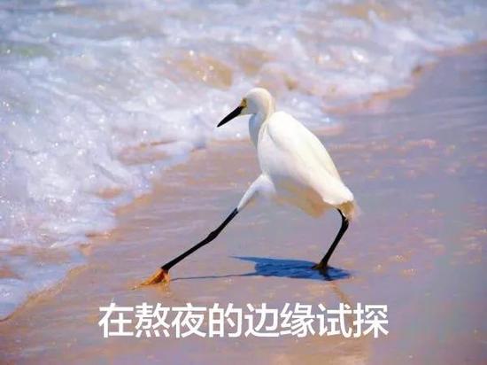 几点睡觉算熬夜 不同类型的熬夜选手怎么补觉