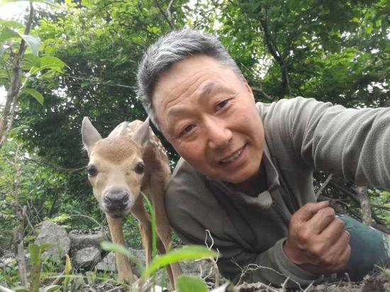 (▲图:鹿爸爸章叔岩和鹿宝宝的合影)