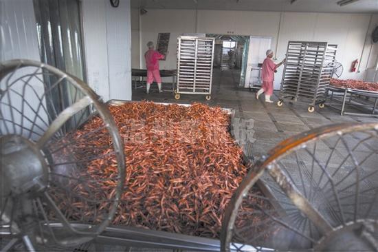 温州1食品厂老板拖欠工资3百万失联 公安等部