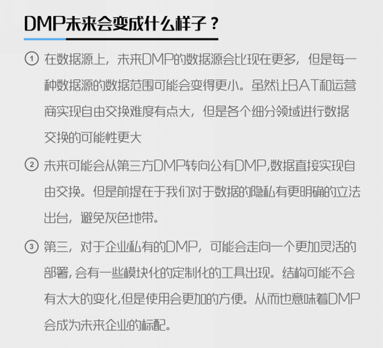 :数字营销的核心 企业如何使用数据管理平台D