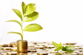 三八节话理财:投资女王支招猴年投资策略