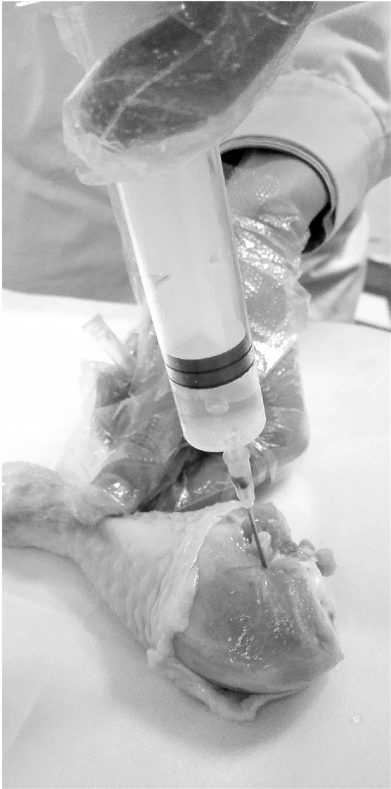 浙大儿院医生护士买鸡腿练扎针:比较有趣也更