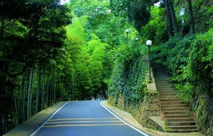 湖州莫干山洋家乐春季越野赛开幕 青山绿水中