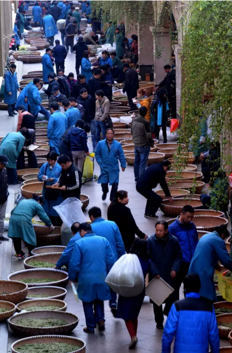 绍兴新昌中国茶市开市 近万名茶农来销售自家