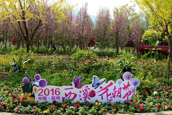 杭州西溪花朝节正式开启:将现876种花卉1100多花色(图)_新浪浙江_新浪网