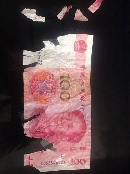 溫州1男子500元零錢被寵物狗撕碎