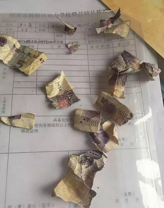 溫州1男子500元零錢被寵物狗撕碎