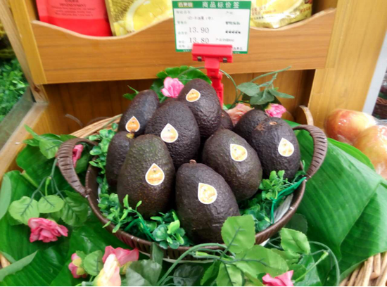 百果园告诉你 鳄梨如何漂洋过海到深圳