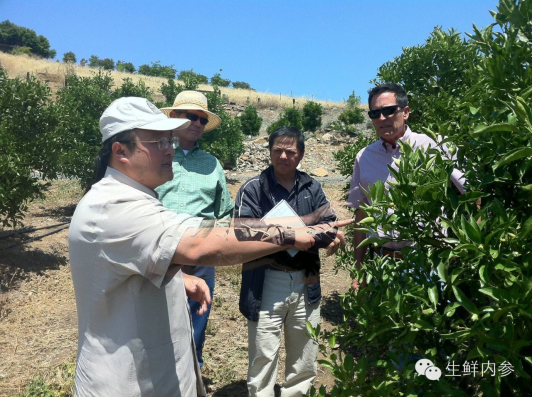 连锁百强榜单揭晓 专卖店增长最快-以百果园为