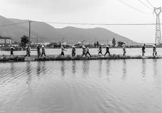 7月9日，长兴县洪桥镇陈桥村一处太湖堤坝上，200多名村民自发背起了沙袋，加入抗洪队伍，加固加高堤坝。吴拯 摄
