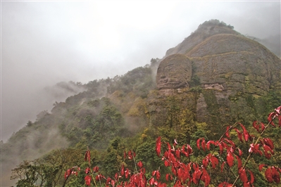 7月15日至9月14日 杭州市民凭身份证居住证可