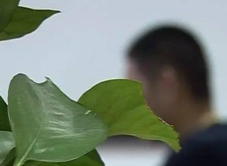 湖州1男子因色情小广告动心思 陷招嫖骗局(组