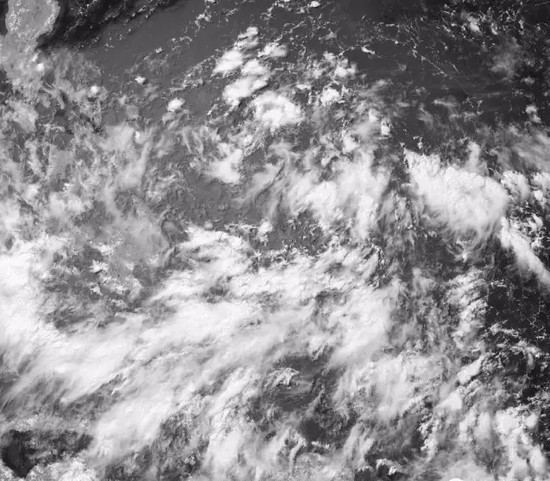 四号台风妮妲将是水王 8月1日起影响江浙沪