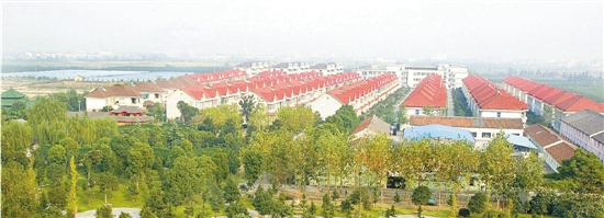 宁波73岁老人饲养小动物15年 曾能指挥动物们