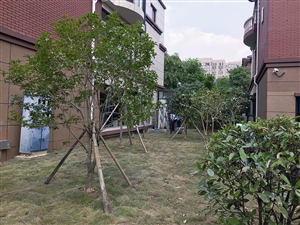 集士港镇人口_人口普查(2)