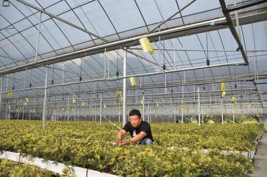 从农产品到游客热捧的伴手礼 丽水开启土货逆