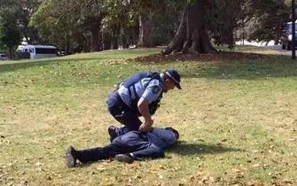澳洲警方再次向本报确认 两男子当时是在树下小便