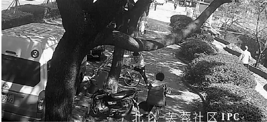 家长:要钱没有,要不把孩子抓走