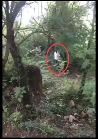 嘉兴九龙山上1男子上吊死亡 已排除他杀可能(