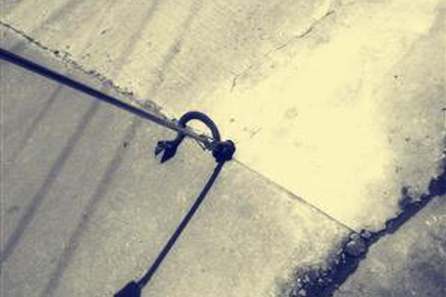 宁波1女子被眼镜蛇吓得不敢进屋 情急下拨打1