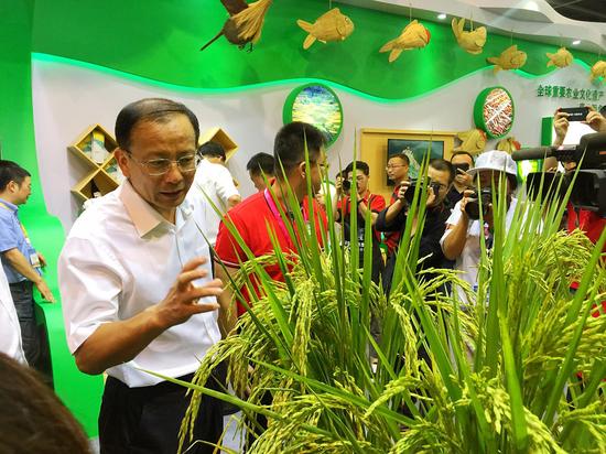 十足2017丽水农博会杭州开幕 首日现场销售额
