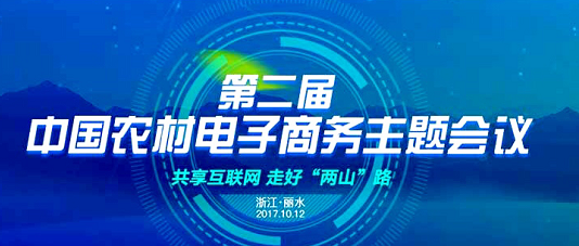 《中国农村电子商务发展报告(2016-2017)》发布