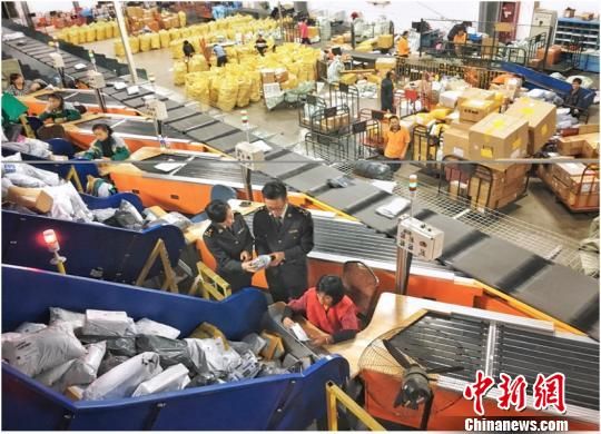 图为:杭州海关驻邮局办事处关员正在监管“双十一”期间邮件 朱菁 摄