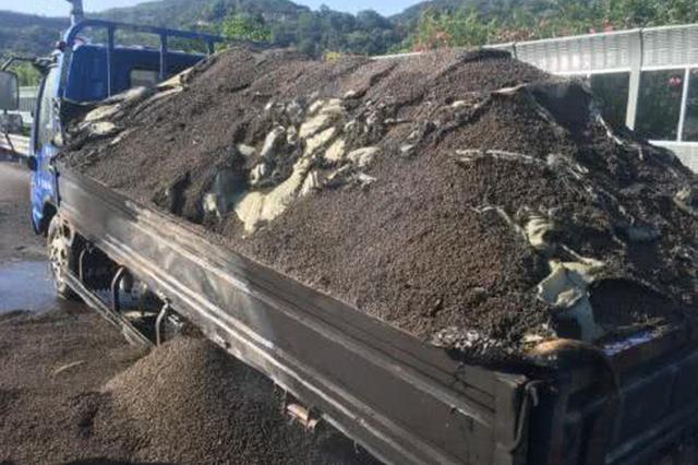 申嘉湖高速上货车燃起熊熊烈火 距离隧道仅500米