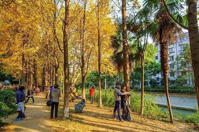 有美景有美食 十月来杭州赴一场秋天的约会(组图)