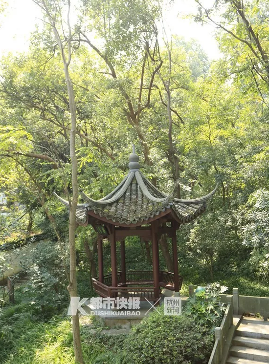 樟亭