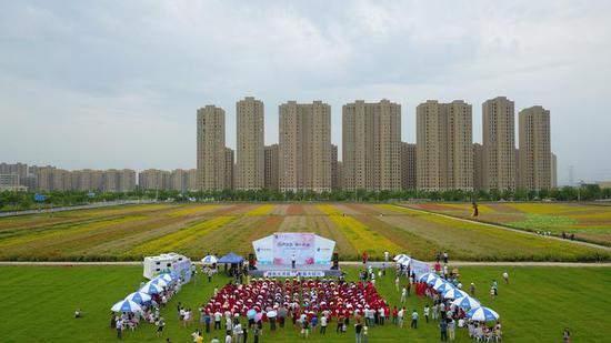 花开滨海 相约新城 滨海音乐节high翻天