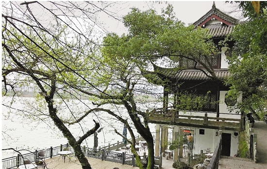 上图:龟川阁
