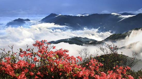(秀山丽水的摄影传奇)