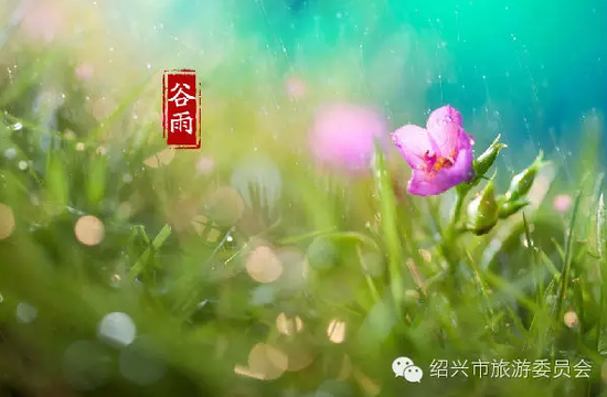 醇厚酒香越地长歌 绍兴黄酒文化知多少