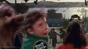 猎人放乌群了，大家快跑啊