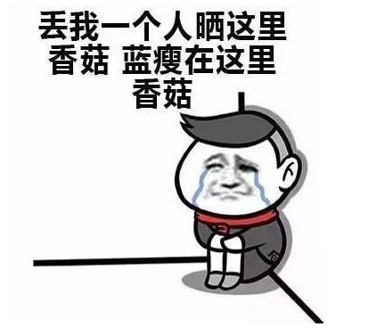 七龙军团玩家故事游戏陪你度过蓝瘦香菇的夜晚