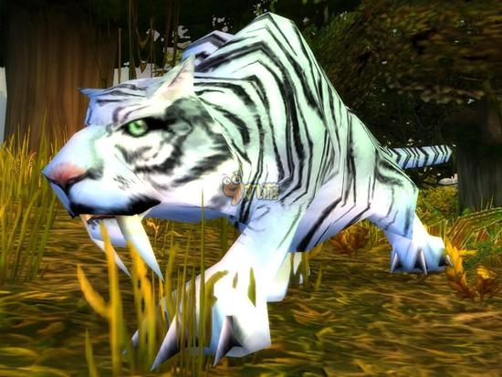 《我叫mt开荒团》幽冥虎惊现 天价魔兽坐骑