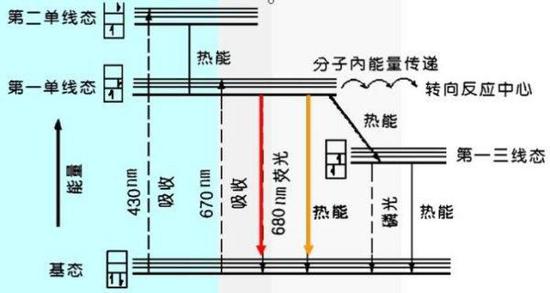 荧光原理
