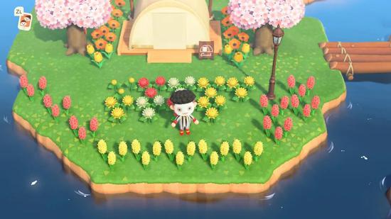 想要这样的花田吗？来串门吧