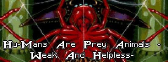 或者是蜘蛛范的