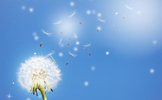 图片来源@视觉中国