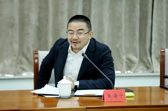 乐元素董事长王海宁发言