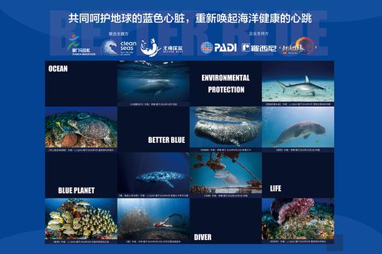 海洋公益在行动