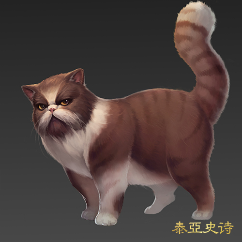 贪睡的猫咪，对你的感情其实是很坚固的