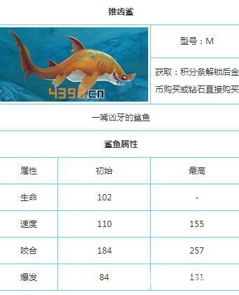 饥饿鲨世界鲨鱼图鉴大全 一嘴凶牙的锥齿鲨
